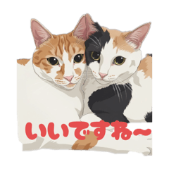 Akiko_20250830190053