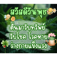 สวัสดีใช้ได้ทุกวัน 8