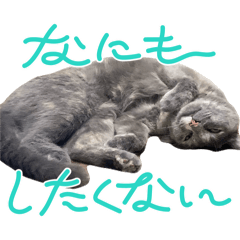 kana_20250830204949