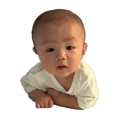 Toriyama_20250830210146