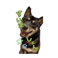 evetachi