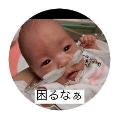 Sakura_20250830201738