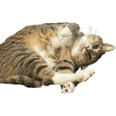 Misaki_20250830214309