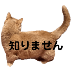 michan_20250830134202