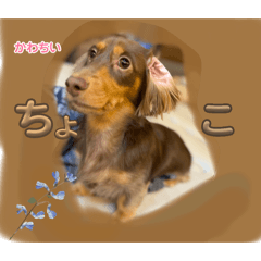 yumi_20250830141309