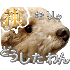 KURUMI_20250830211503