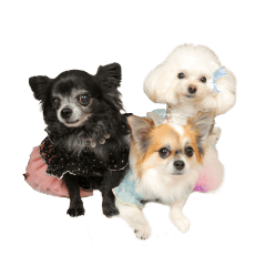 ウユ アンジュ イブ ちゃんのスタンプです