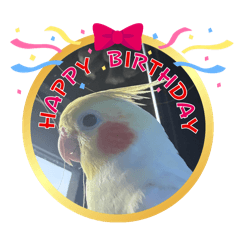 PPraphangg_20250830161455