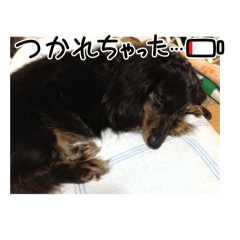 sachi_20250830214846