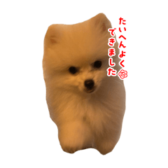 sososofie_20250830215933