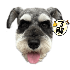 sachi_20250830221442