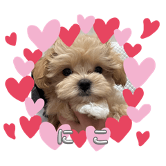 nico._20250830145807