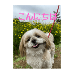 furin_20250830151200