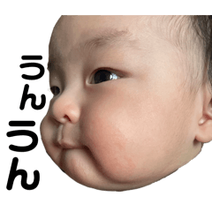 shio_20250830231433
