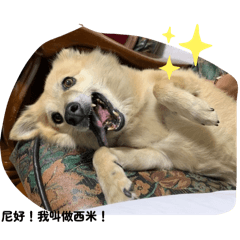 尼好！我叫做西米！