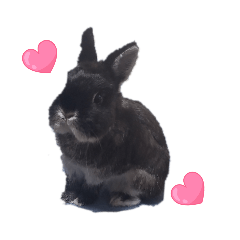 ohagi_20250831091113