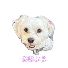 mocchi!!