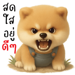 สดใสอยู่ดีๆ =_=''