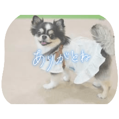 hana_20250830202225