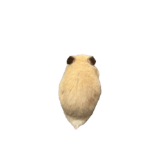 m_20250831112959