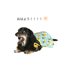 haruka_20250830213214