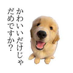 hannah_20250831131157