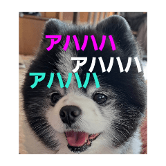 setsu_20250831134756