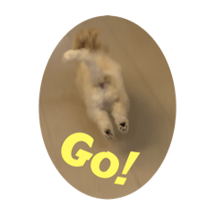 菜哈嚕の厭世日常