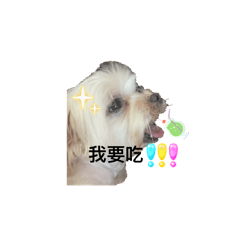 可可愛愛的小狗