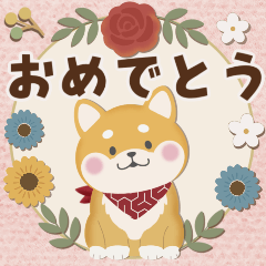 Timeless Thanks & Celebrations