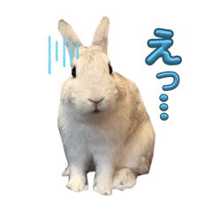 Mizuki_20250831174219