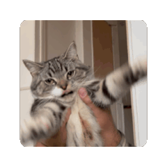 tough_20250831225927