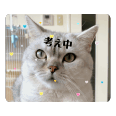 sato_20250831193217
