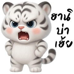 Cheeky White Tiger (Kum-muang)