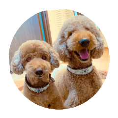 kurumi_20250831184158