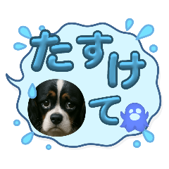 mymyme_20250827104608