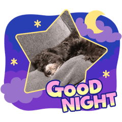 Akane_20250831111216