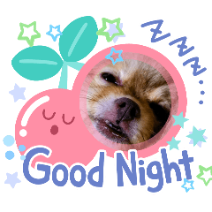 ポメんスタンプ