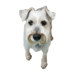 一些侯球球的生活碎片