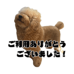 shiho_20250831170738