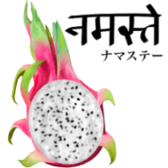 Tropical Dragon Fruit 16