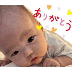 hazu_20250831220644