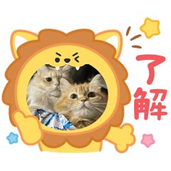 Shintani_20250831222916