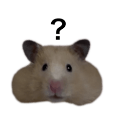 yuchi_20250831221932