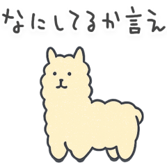 Im crash on my girlfriend Animals