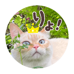 suzu_20250831175610