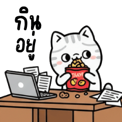 Bobo  The Cat Who Hates Work