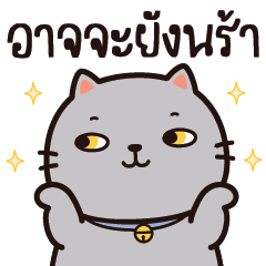 แชโดว์ แมวน่ารัก