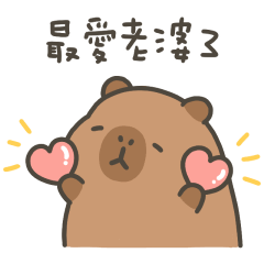 卡皮巴拉小水豚最愛老婆