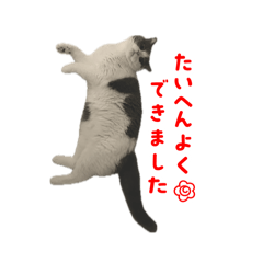 Chi_20250829140521